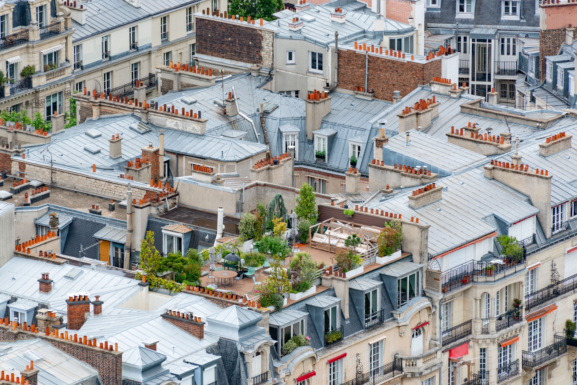 Toits de Paris vus d'en haut, avec une toiture terrasse végétalisée sur un immeuble haussmannien